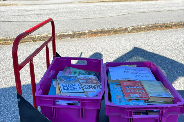 Bokkasser frå Naustdal bibliotek