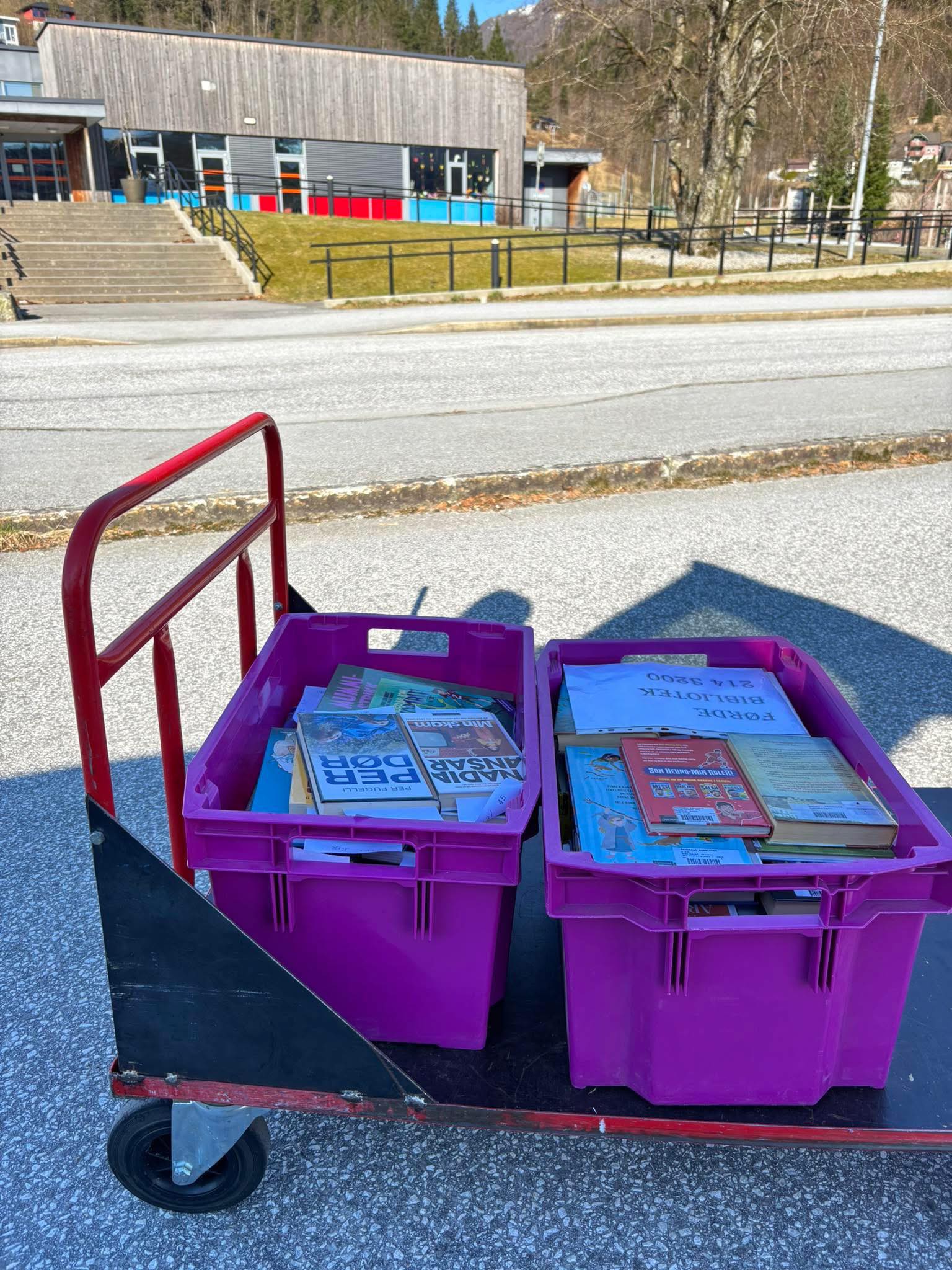 Bokkasser frå Naustdal bibliotek